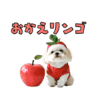 どうしてもダジャレを言いたい犬（個別スタンプ：17）