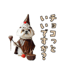 どうしてもダジャレを言いたい犬（個別スタンプ：21）