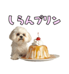 どうしてもダジャレを言いたい犬（個別スタンプ：25）