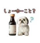どうしてもダジャレを言いたい犬（個別スタンプ：27）