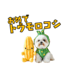 どうしてもダジャレを言いたい犬（個別スタンプ：31）