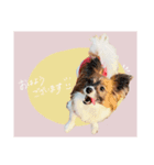 ルイるあとルタるう（個別スタンプ：1）