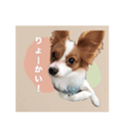 ルイるあとルタるう（個別スタンプ：3）