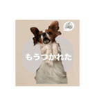 ルイるあとルタるう（個別スタンプ：5）