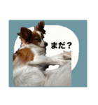 ルイるあとルタるう（個別スタンプ：6）
