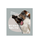 ルイるあとルタるう（個別スタンプ：7）