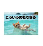 Fantastic world【海辺の猫たち】（個別スタンプ：6）