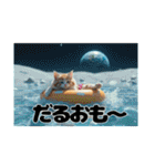 Fantastic world【海辺の猫たち】（個別スタンプ：31）