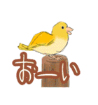 インコさんたちの生活（個別スタンプ：13）