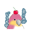 インコさんたちの生活（個別スタンプ：25）