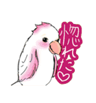 インコさんたちの生活（個別スタンプ：26）