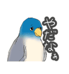 インコさんたちの生活（個別スタンプ：34）