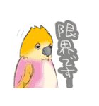 インコさんたちの生活（個別スタンプ：35）