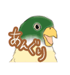 インコさんたちの生活（個別スタンプ：37）