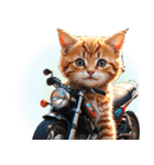 バイク好き♡リアルねこ アレンジに使える（個別スタンプ：7）