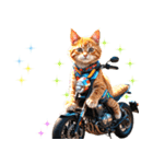 バイク好き♡リアルねこ アレンジに使える（個別スタンプ：15）