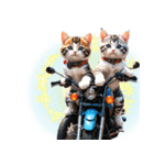 バイク好き♡リアルねこ アレンジに使える（個別スタンプ：16）