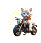 バイク好き♡リアルねこ アレンジに使える（個別スタンプ：19）