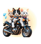 バイク好き♡リアルねこ アレンジに使える（個別スタンプ：21）