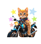 バイク好き♡リアルねこ アレンジに使える（個別スタンプ：25）