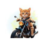 バイク好き♡リアルねこ アレンジに使える（個別スタンプ：32）