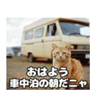 車中泊ねこ（個別スタンプ：4）