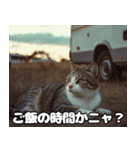 車中泊ねこ（個別スタンプ：7）