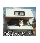 車中泊ねこ（個別スタンプ：19）