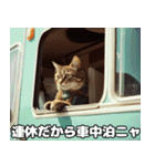 車中泊ねこ（個別スタンプ：21）