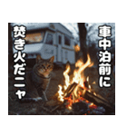 車中泊ねこ（個別スタンプ：24）