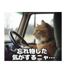 車中泊ねこ（個別スタンプ：26）