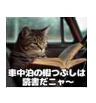 車中泊ねこ（個別スタンプ：30）