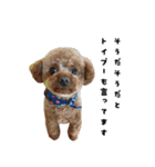 くあちるガールズwith犬（個別スタンプ：31）