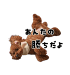 くあちるガールズwith犬（個別スタンプ：40）
