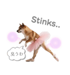 プリマドンナ柴犬太（個別スタンプ：7）