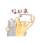 犬と猫と文鳥のほんわかなかよしスタンプ（個別スタンプ：3）