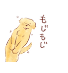 犬と猫と文鳥のほんわかなかよしスタンプ（個別スタンプ：12）
