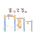 犬と猫と文鳥のほんわかなかよしスタンプ（個別スタンプ：22）