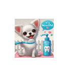 可愛すぎる白いチワワたち！（個別スタンプ：22）