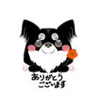 よく使うことば！元気なワンちゃんと！（個別スタンプ：7）