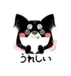 よく使うことば！元気なワンちゃんと！（個別スタンプ：12）