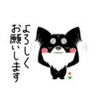 よく使うことば！元気なワンちゃんと！（個別スタンプ：13）