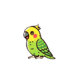 カワイイ鳥たち（個別スタンプ：4）