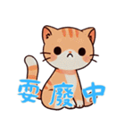 にゃんこライフ Ver5 (漢字)（個別スタンプ：3）