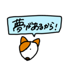 クズ犬のくーちゃん（個別スタンプ：19）