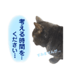 黒猫トムチ7（個別スタンプ：2）