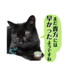 黒猫トムチ7（個別スタンプ：4）