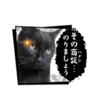 黒猫トムチ7（個別スタンプ：13）