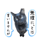 黒猫トムチ7（個別スタンプ：18）