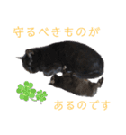 黒猫トムチ7（個別スタンプ：25）